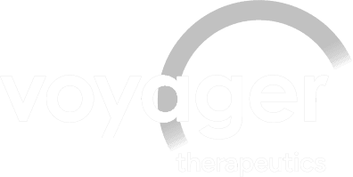 Logo-Voyager_New